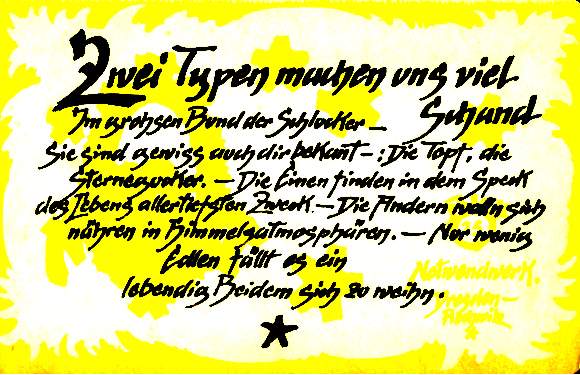 12_Zwei Typen